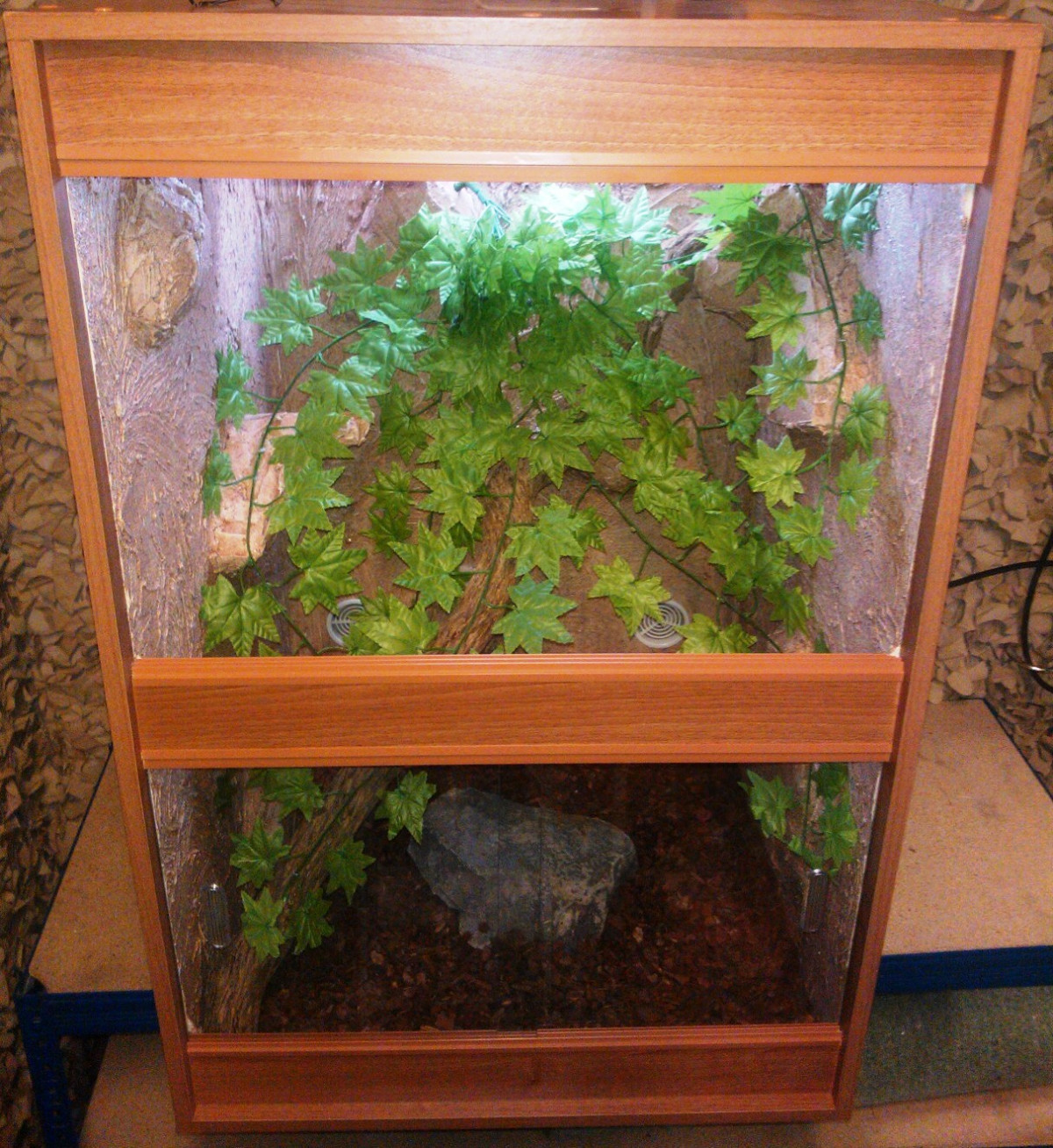 Vivariums Custom Built & Designed By Appleton Exotics
